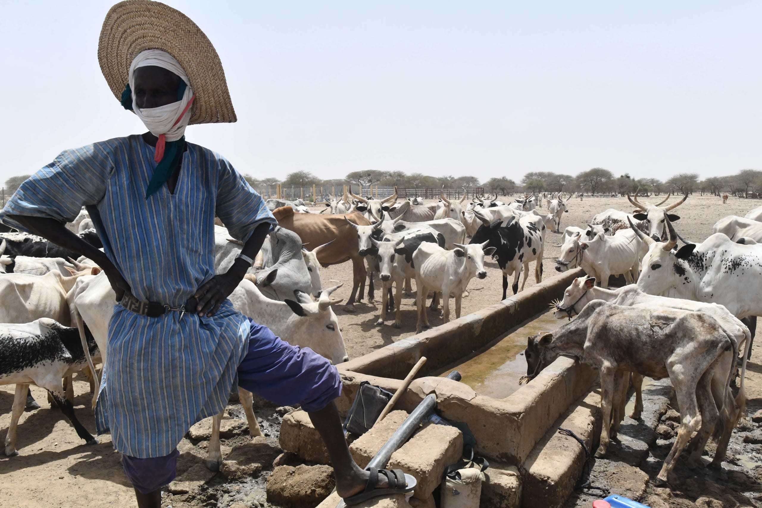 mauritanie same 2024